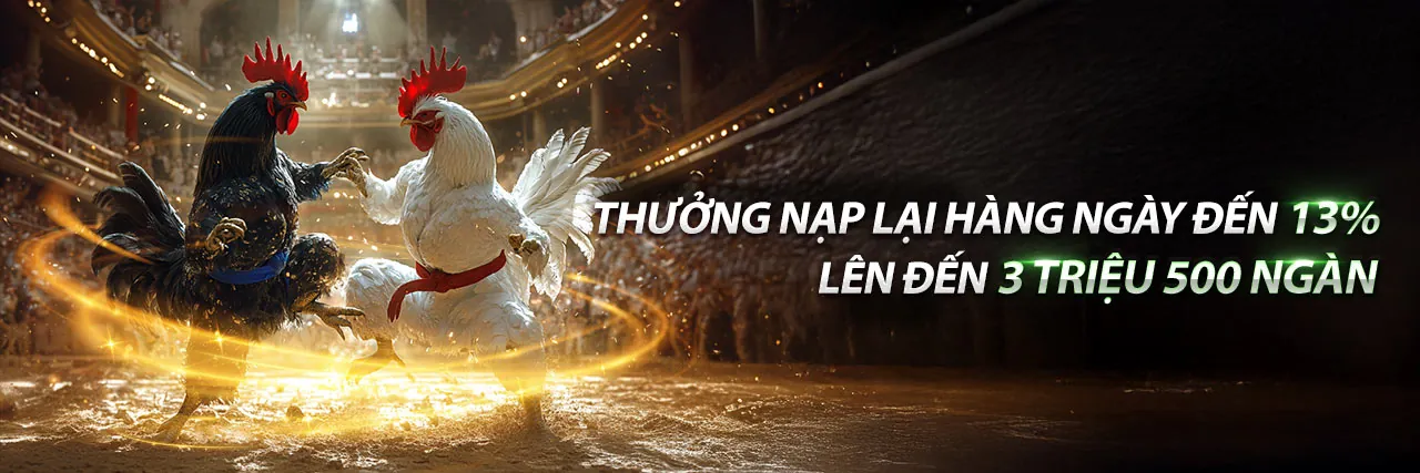Đá gà Sbet Bet 2026 - Những trận đấu kịch tính